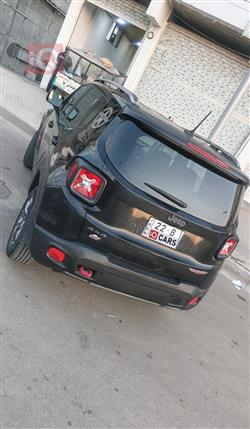 جيب رينيجيد